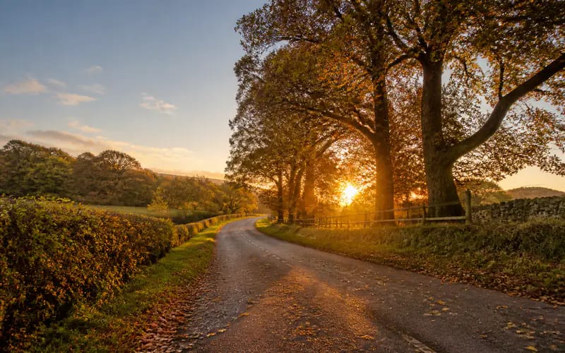 Equal Day and Night When Autumn Starts