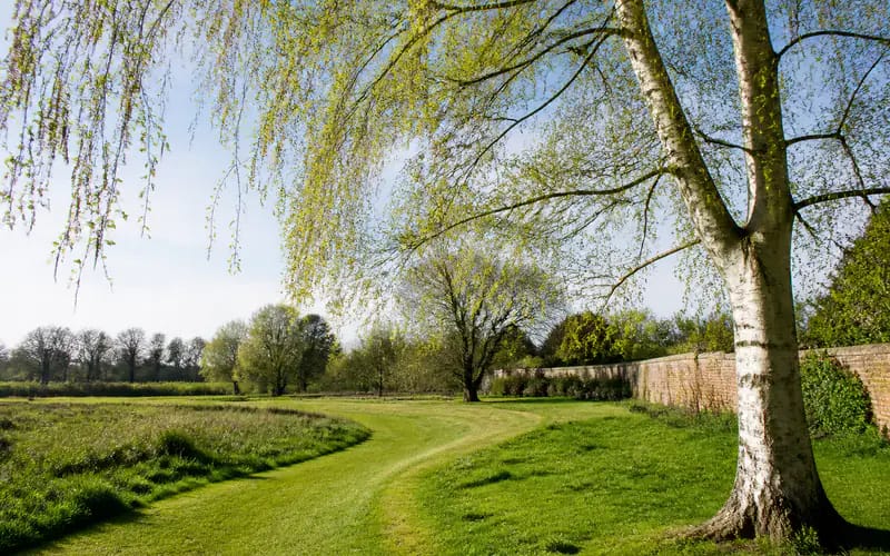 Hay Fever Season Starts in March