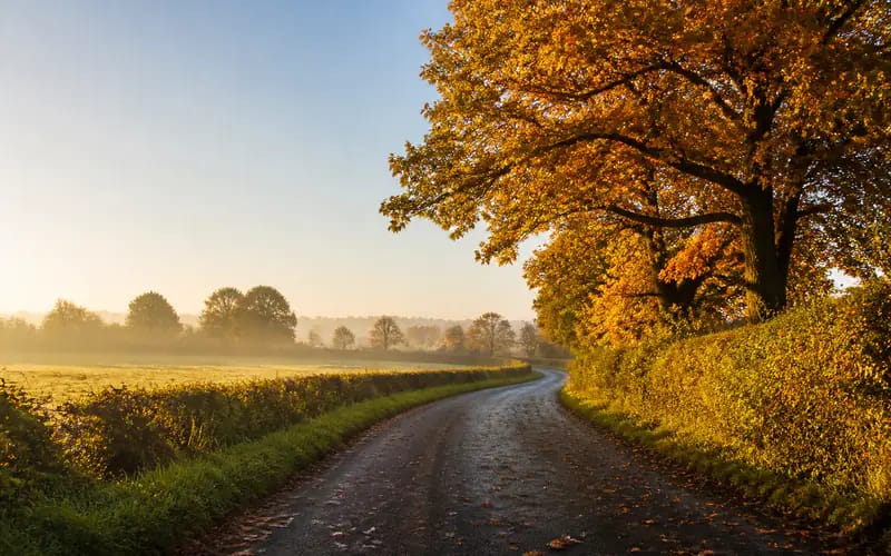 When to Expect an Indian Summer