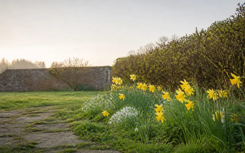 Why Spring Has Two Start Dates